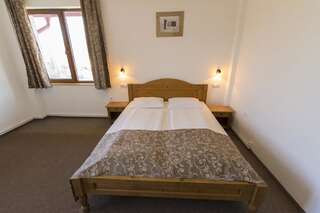 Гостевой дом Pensiunea Aron 2 Бран Двухместный номер с 1 кроватью-6