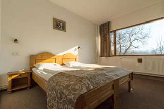 Гостевой дом Pensiunea Aron 2 Бран Двухместный номер с 2 отдельными кроватями-7