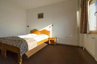 Гостевой дом Pensiunea Aron 2 Бран Двухместный номер с 2 отдельными кроватями-11