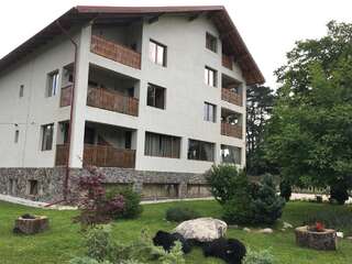 Гостевой дом Pensiunea Aron 2 Бран-5